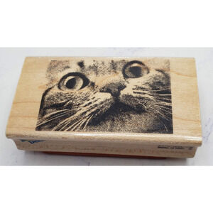 Kitten Face Rubber Stampede Photo Wood Mounted Rubber Stamp 3789F